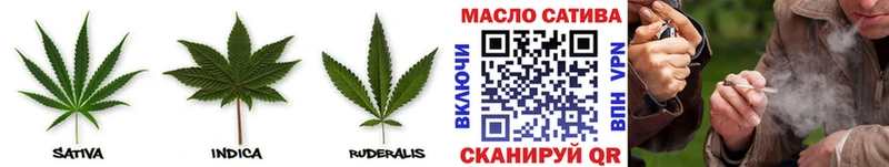 Купить где  Ясногорск  ТГК вейп 